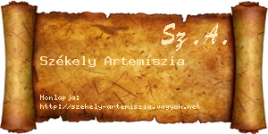 Székely Artemíszia névjegykártya